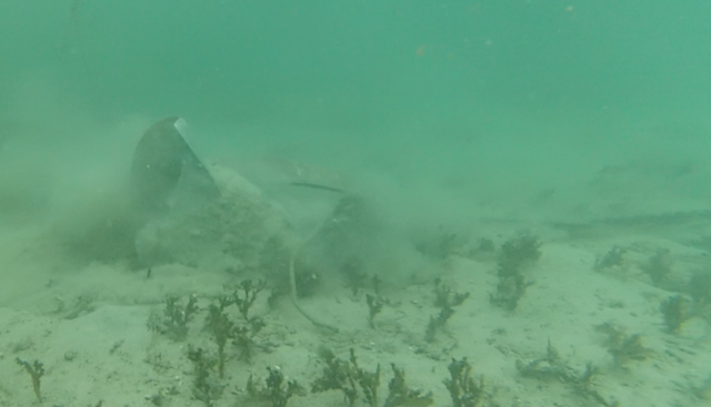 anchor testing spade